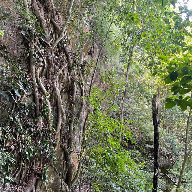 A must visit cave in Southern Thailand