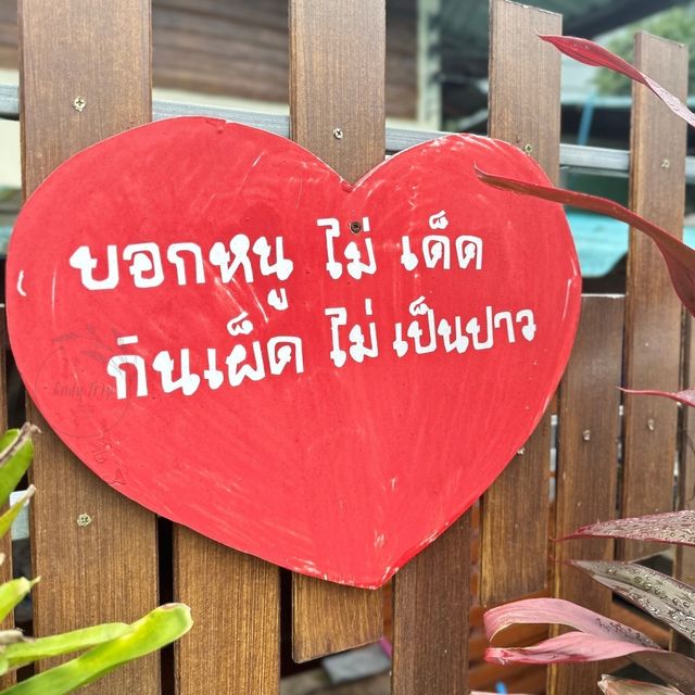 🥗 บ้านริมน้ำ ดิ คาเฟ่