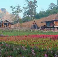 ไร่ภูผาหมวก ที่พักแสนสงบกลางทุ่งดอกไม้และสายหมอก