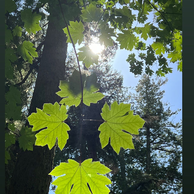 Whispers with giants! 