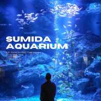สำรวจโลกใต้น้ำใจกลางโตเกียวที่ Sumida Aquarium 🪼