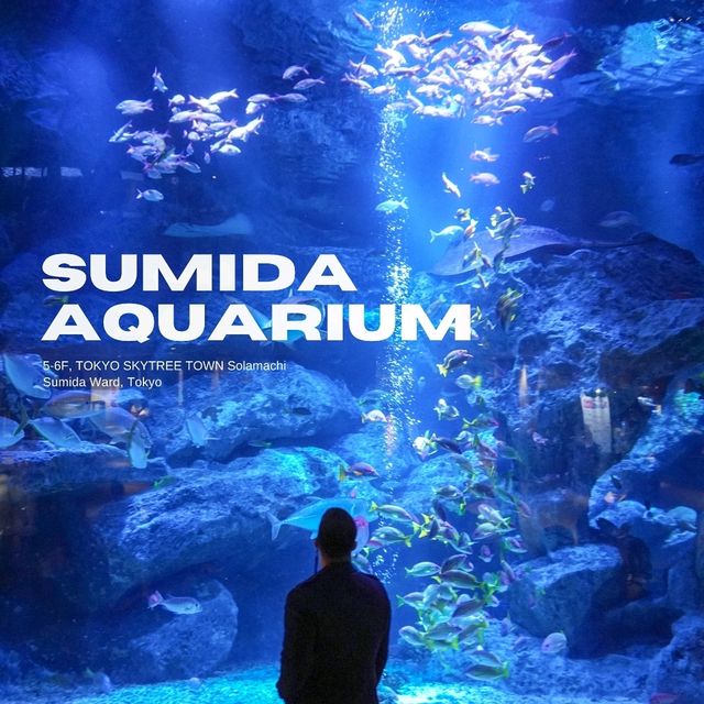 สำรวจโลกใต้น้ำใจกลางโตเกียวที่ Sumida Aquarium 🪼