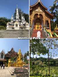 Best Things To Do in Xishuangbanna, Yunnan 🇨🇳
