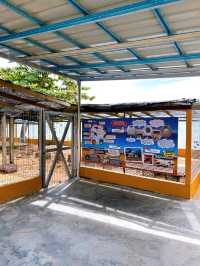 The Turtle Conservation and Information Centre in Padang Kemunting