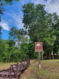 พิพิธภัณฑ์ ไม้กลายเป็นหิน