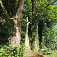 Black Forest: A Journey Through Germany’s Mystical Woodland Wonderland