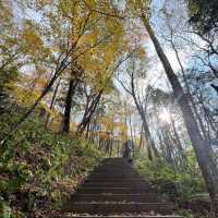 桃花源風景區：美麗樹林、壯觀瀑布，8月好去處