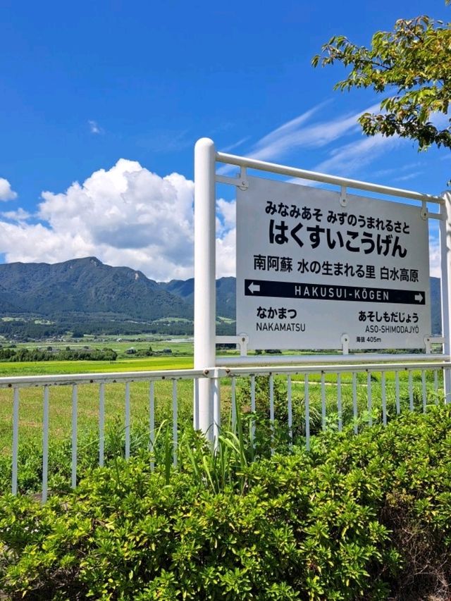 【白川水源:熊本県阿蘇群】透き通った美味しい湧き水を汲める場所✨