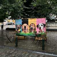 Artistic Oasis: Mont des Arts' Cultural Haven