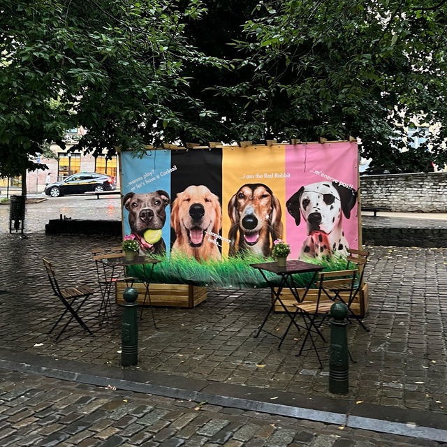 Artistic Oasis: Mont des Arts' Cultural Haven