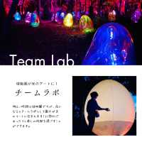【大阪】都会のオアシス！自然を楽しむおすすめスポット