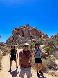 Hidden Valley Nature Trail: A Captivating Hike in Joshua Tree National Park