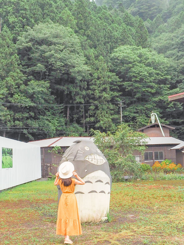 絶景の高知旅🧡絶景スポットを巡ったよ🚗✨