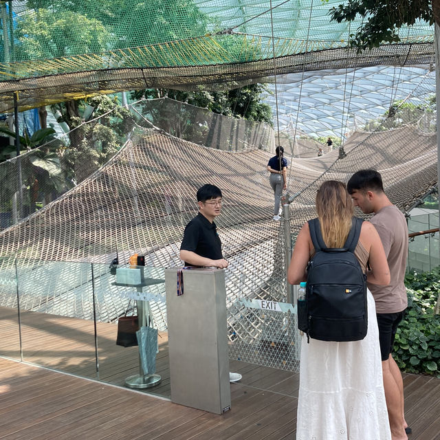 Canopy park @ Jewel Changi Airport 