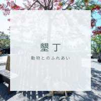 【台湾】墾丁で動物とふれあおう！