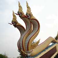 วัดม่วง อ.วิเศษชัยชาญ
