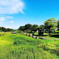 大阪萬博紀念公園