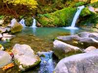 未受破壞風景如畫的國家公園