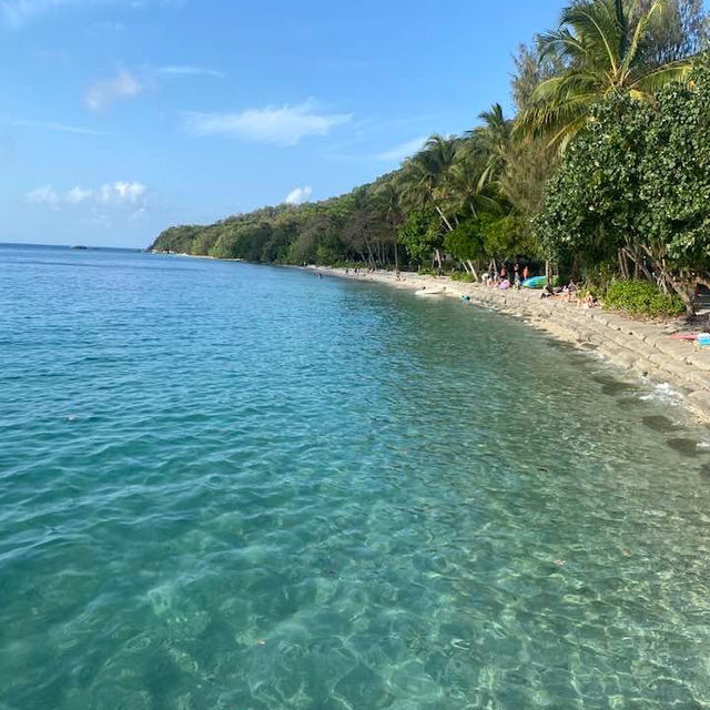 Island Perfection: Fitzroy Island Steals the Heart