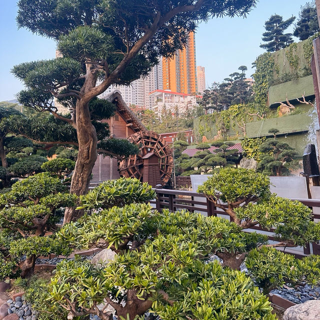 香港世外桃源景點「南蓮園池」