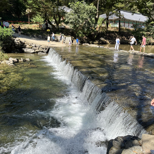 단풍으로 유명한 공주 마곡사 다녀왔어요 🍂🍁