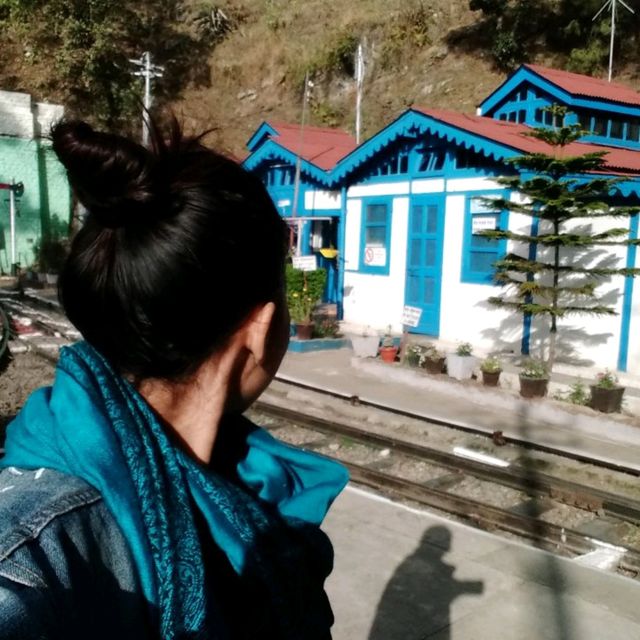 นั่งรถไฟ Toy Train สายโรแมนติก อินเดีย