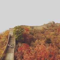 Mutianyu section of the Great Wall of China in autumn is stunning