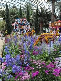 Australian Carnival of Flowers at Flower Dome