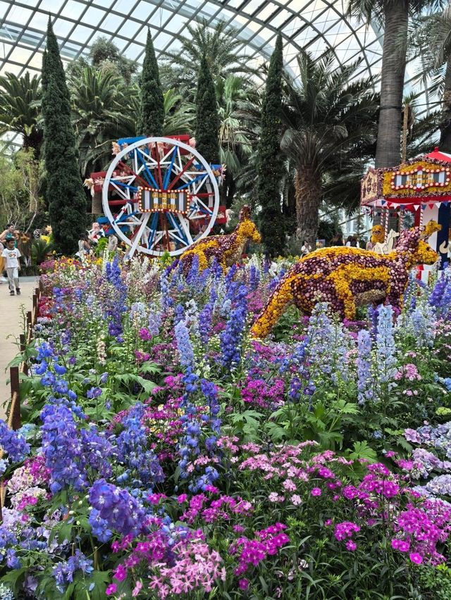 Australian Carnival of Flowers at Flower Dome