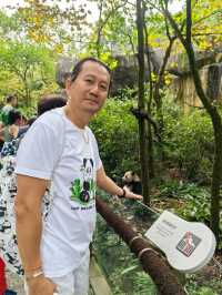 Get Close with Cute Panda in Chengdu Panda Base