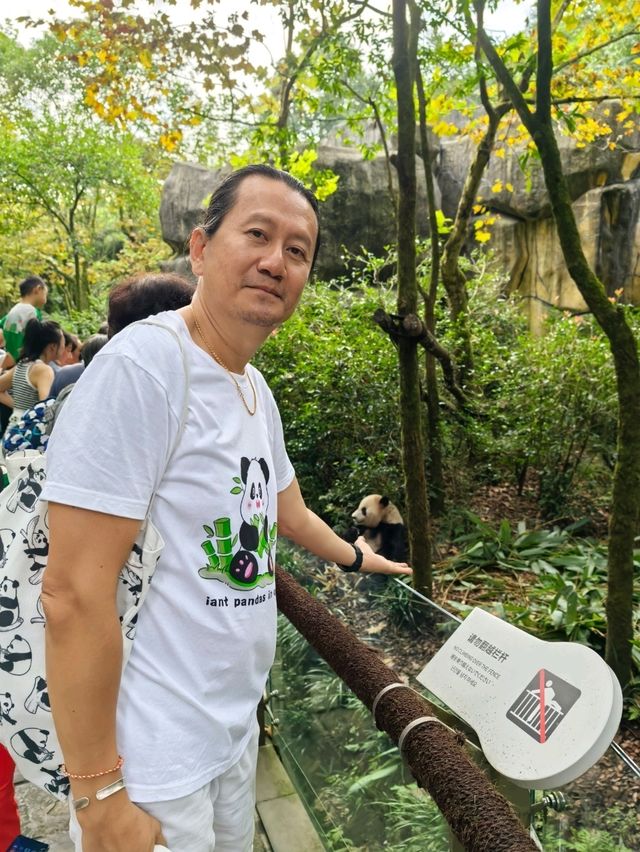 Get Close with Cute Panda in Chengdu Panda Base