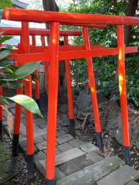 【東京都】品川神社境内にある一粒萬倍のご神水