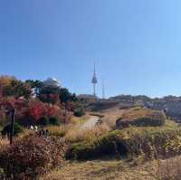 가을 피크닉 하기 좋은곳! 단풍명소 '남산공원 백범광장‘🍁