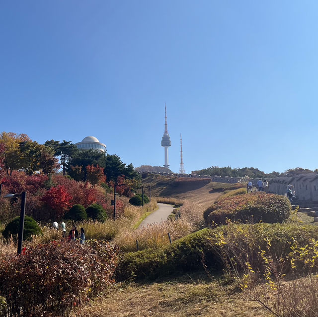 가을 피크닉 하기 좋은곳! 단풍명소 '남산공원 백범광장‘🍁