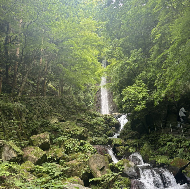 養老線の滝🌿