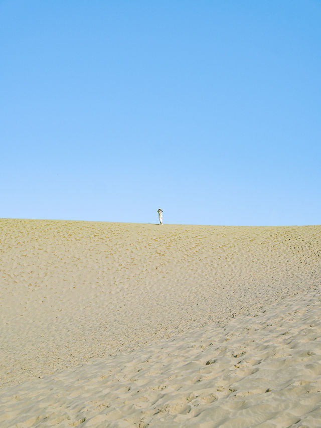 【鳥取】一度は行きたい鳥取砂丘🏜️気になるアクセスや装備を紹介💡 