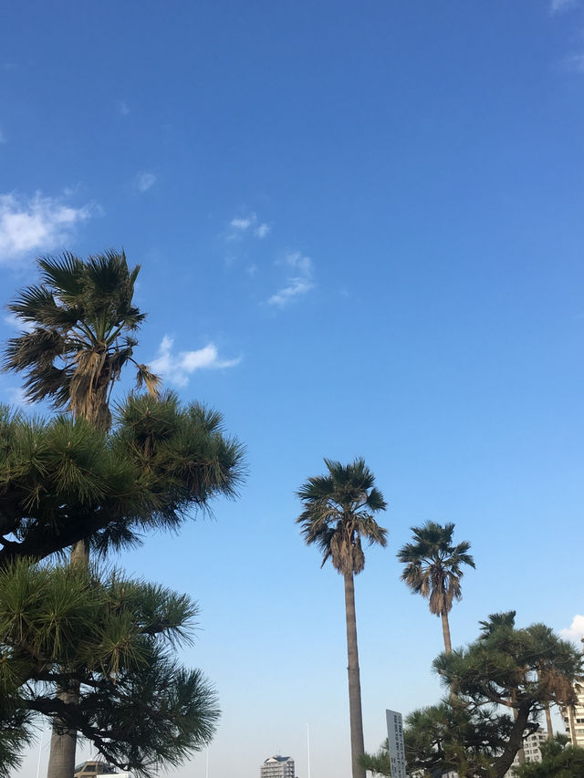 【神奈川県･江ノ島】江ノ島を一望！絶景ポイント✨️