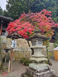 TAKAYAMA เมืองแห่งมนต์เสน่ห์ยุคสมัยเอโดะ 