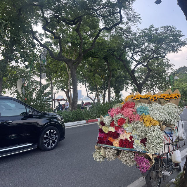 【🇻🇳ハノイ】ハスの花束🪷