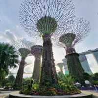 🏙️ Perfect Location in Singapore 🌟