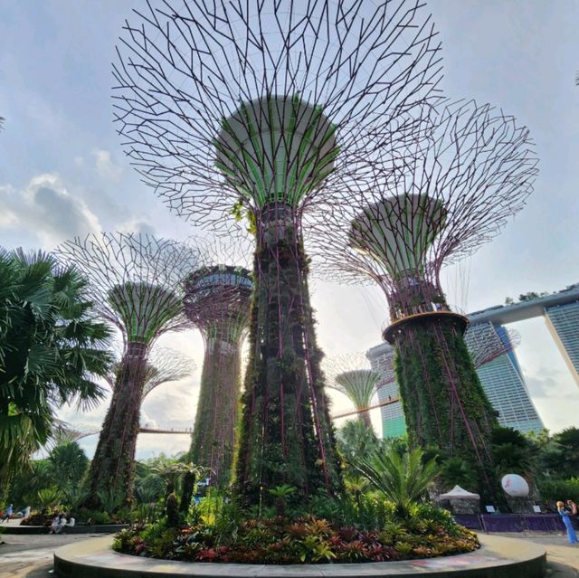 🏙️ Perfect Location in Singapore 🌟