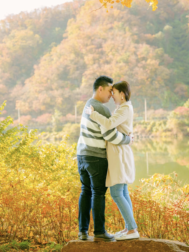 Picturesque Nami island in Fall 🍂🍁