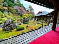  【高知】夢窓疎石作庭のお庭！五台山 竹林寺