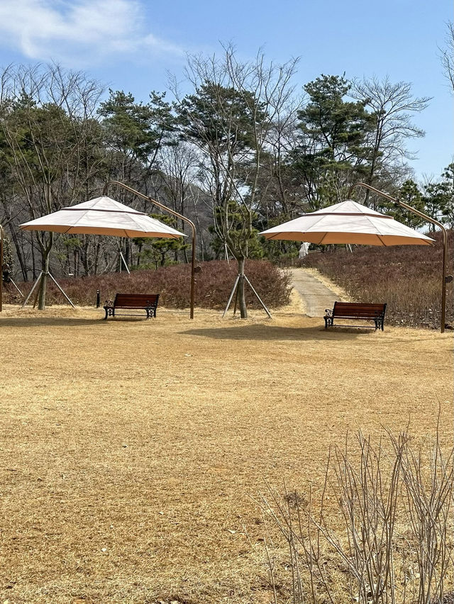 요즘 핫한 임실 여행지 ‘옥정호 출렁다리’