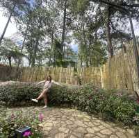 Baguio Botanical Garden: 