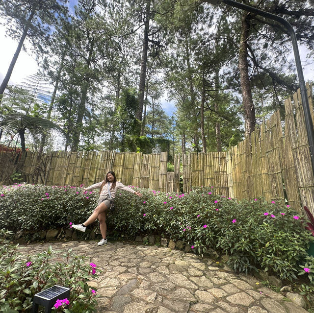 Baguio Botanical Garden: 