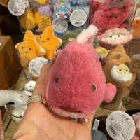 可能係世一嘅水族館⋯⋯四國