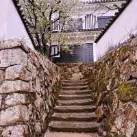 Black Castle Wonder: My Adventure Through Okayama’s Samurai History!