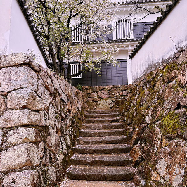 Black Castle Wonder: My Adventure Through Okayama’s Samurai History!