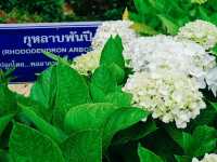 อุทยานแห่งชาติดอยอินทนนท์ จังหวัดเชียงใ
